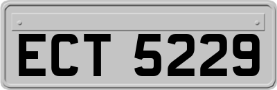 ECT5229
