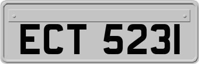 ECT5231