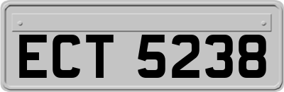 ECT5238