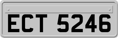 ECT5246