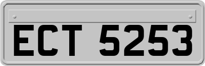 ECT5253