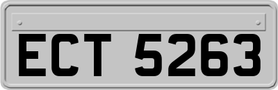 ECT5263
