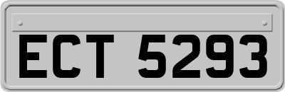 ECT5293
