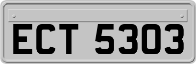 ECT5303