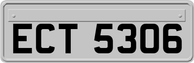 ECT5306