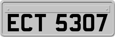 ECT5307