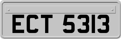 ECT5313