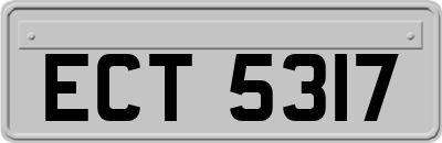 ECT5317