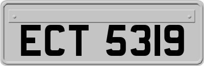 ECT5319