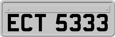 ECT5333