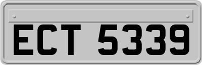 ECT5339