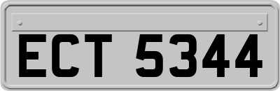 ECT5344