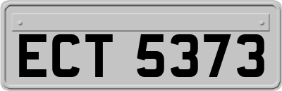 ECT5373