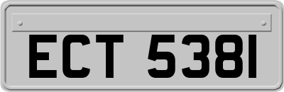 ECT5381