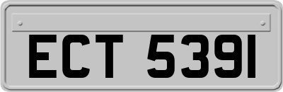 ECT5391