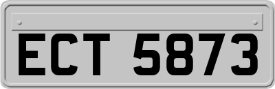 ECT5873