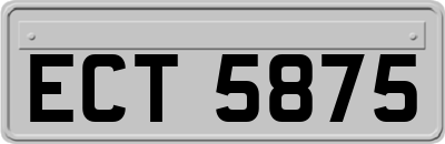 ECT5875