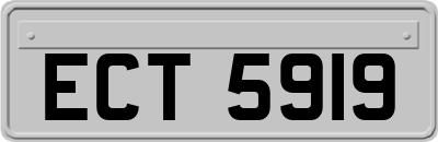 ECT5919