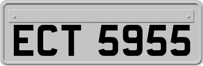 ECT5955