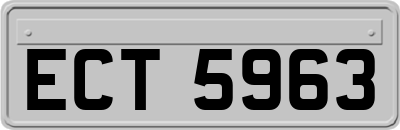 ECT5963