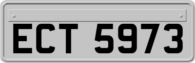 ECT5973