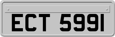 ECT5991