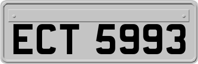 ECT5993