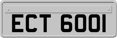 ECT6001