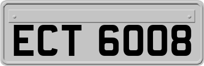 ECT6008