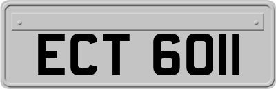 ECT6011