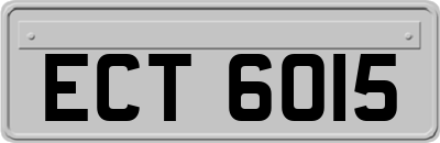 ECT6015