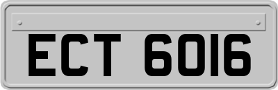 ECT6016