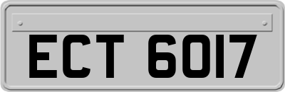 ECT6017
