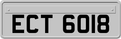 ECT6018