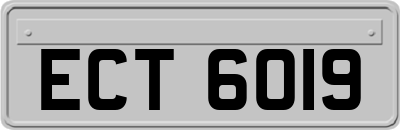ECT6019