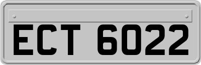 ECT6022