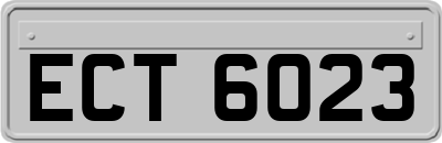 ECT6023
