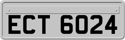 ECT6024