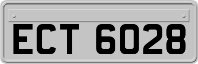 ECT6028