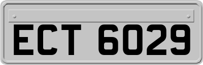 ECT6029