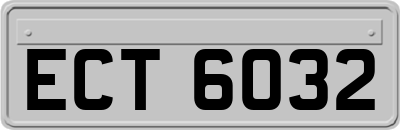 ECT6032