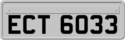 ECT6033