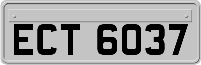 ECT6037