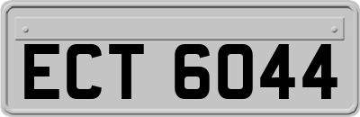 ECT6044