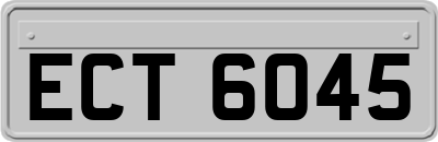 ECT6045