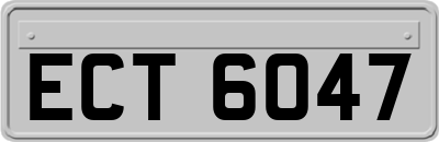 ECT6047