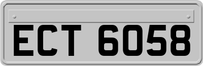 ECT6058