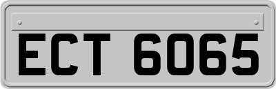 ECT6065