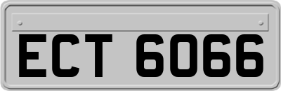 ECT6066