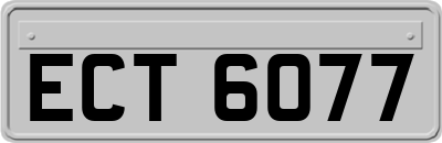ECT6077
